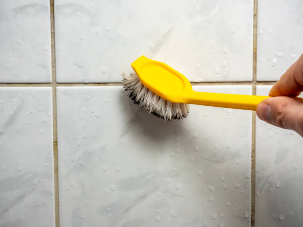 Best Residential Mold Removal  in Laurel Hill, VA