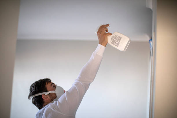 Best Water Damage Restoration  in Laurel Hill, VA