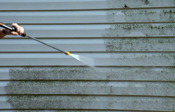 Best Mold Remediation  in Laurel Hill, VA