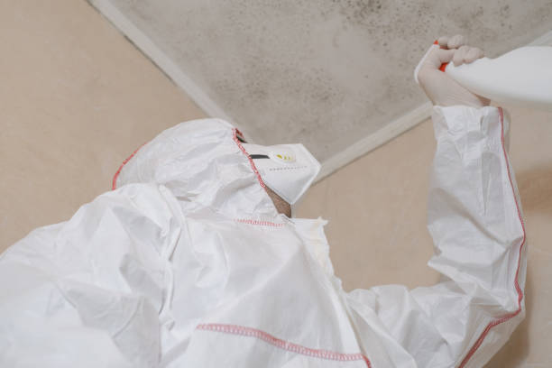 Best Best Mold Removal Companies  in Laurel Hill, VA