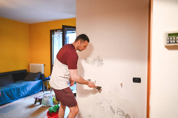 Best Toxic Mold Removal  in Laurel Hill, VA